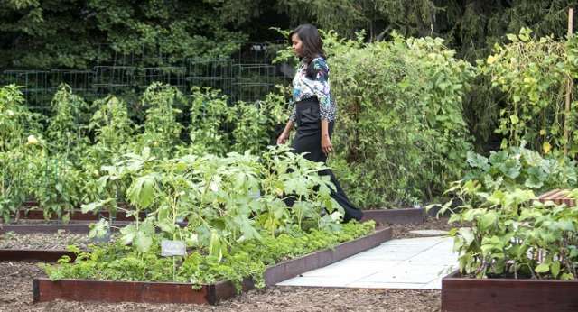 Michelle Obama sets her garden in stone